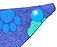 #3 Denim Multi Paw