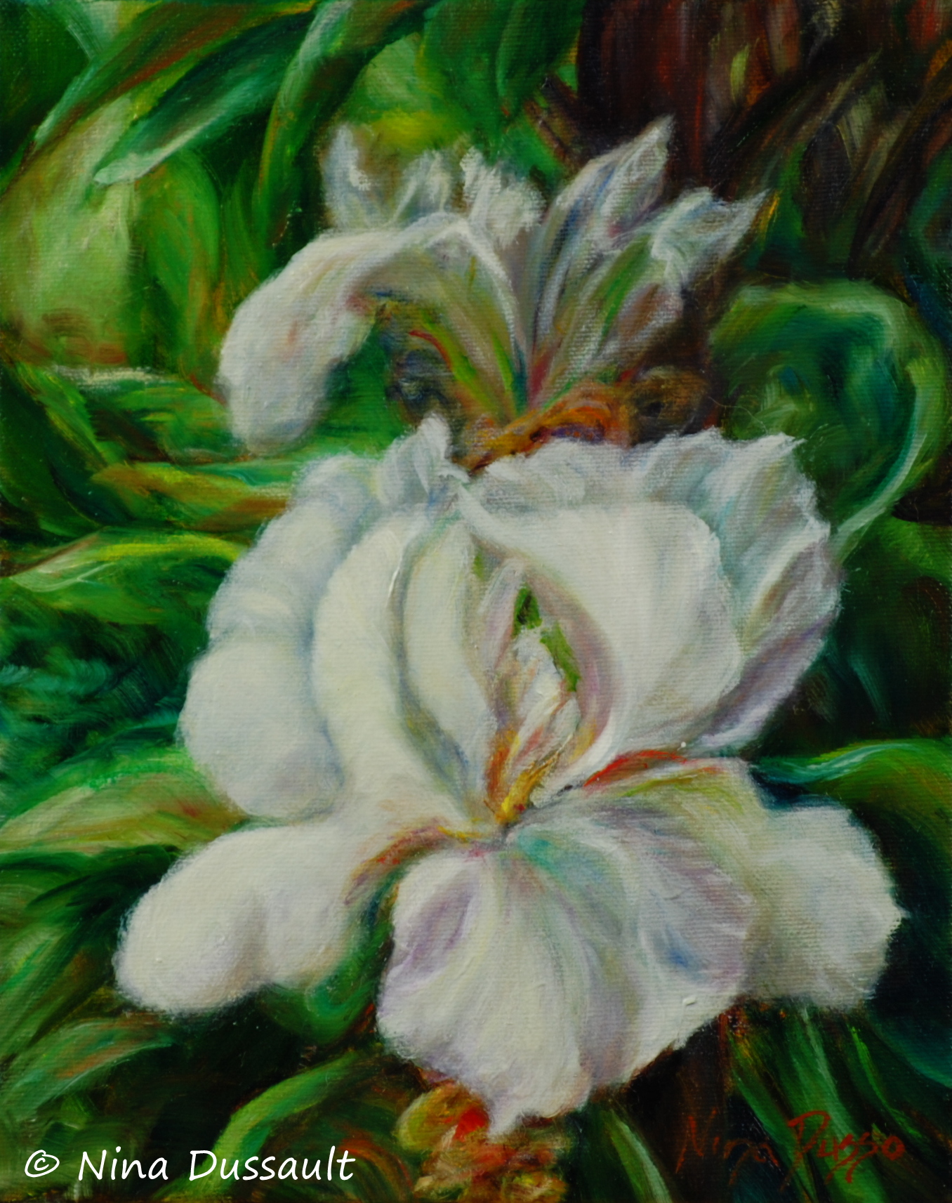 Blanche délicatesse