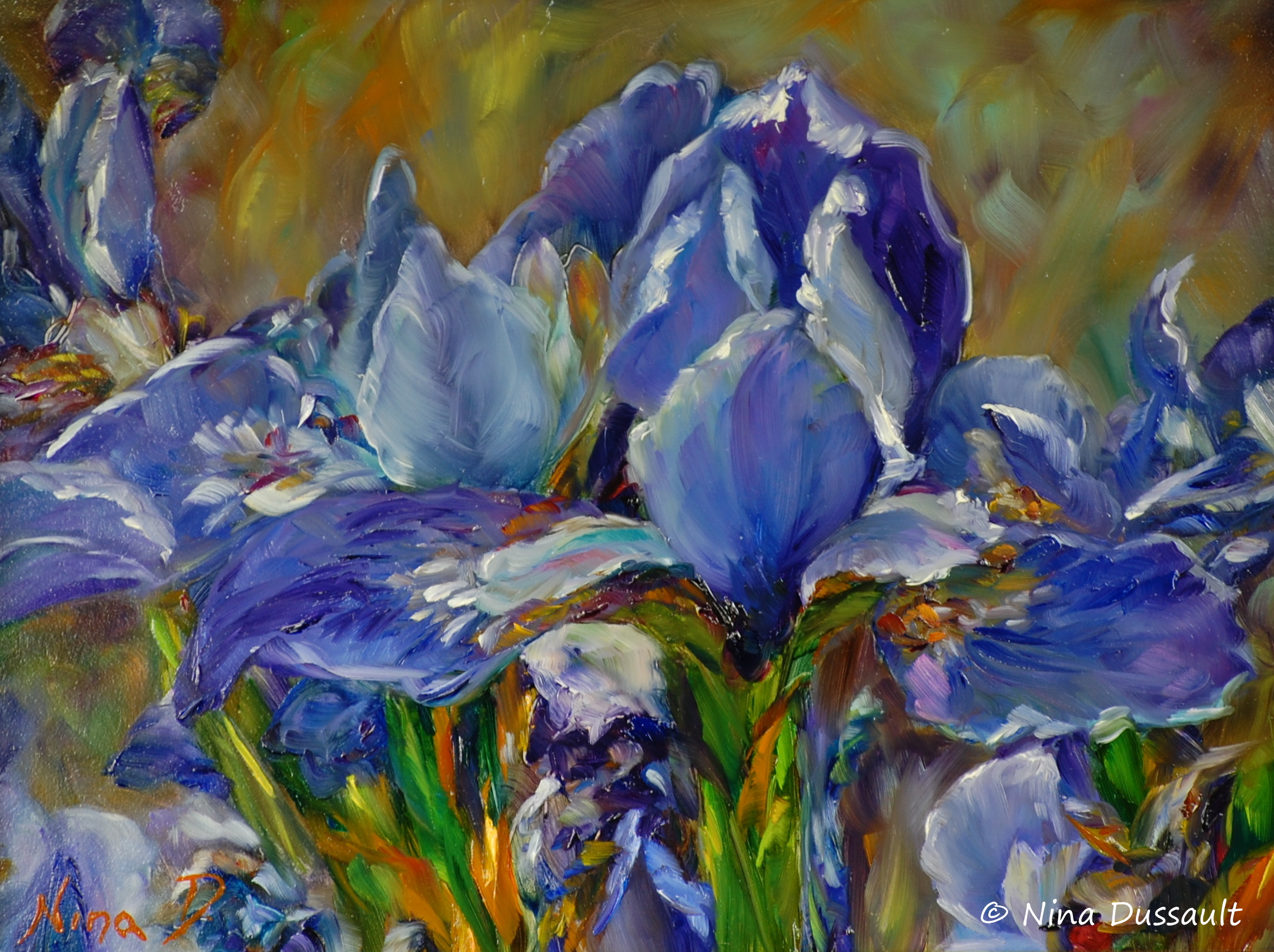 La gloire des iris