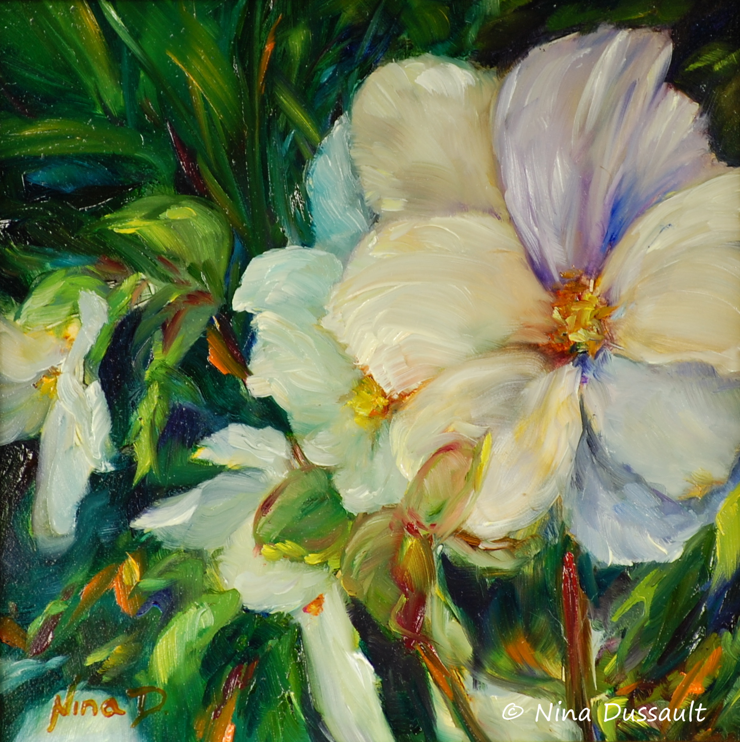 Douce matinée
