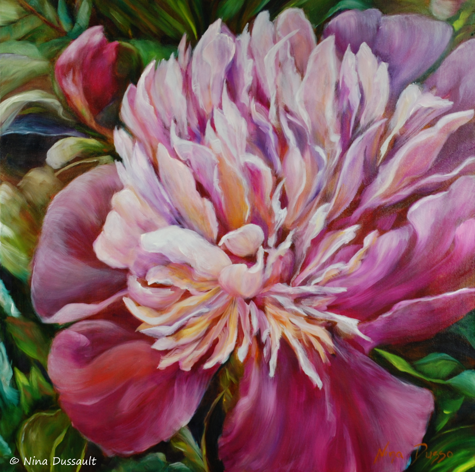 Apogée de la floraison