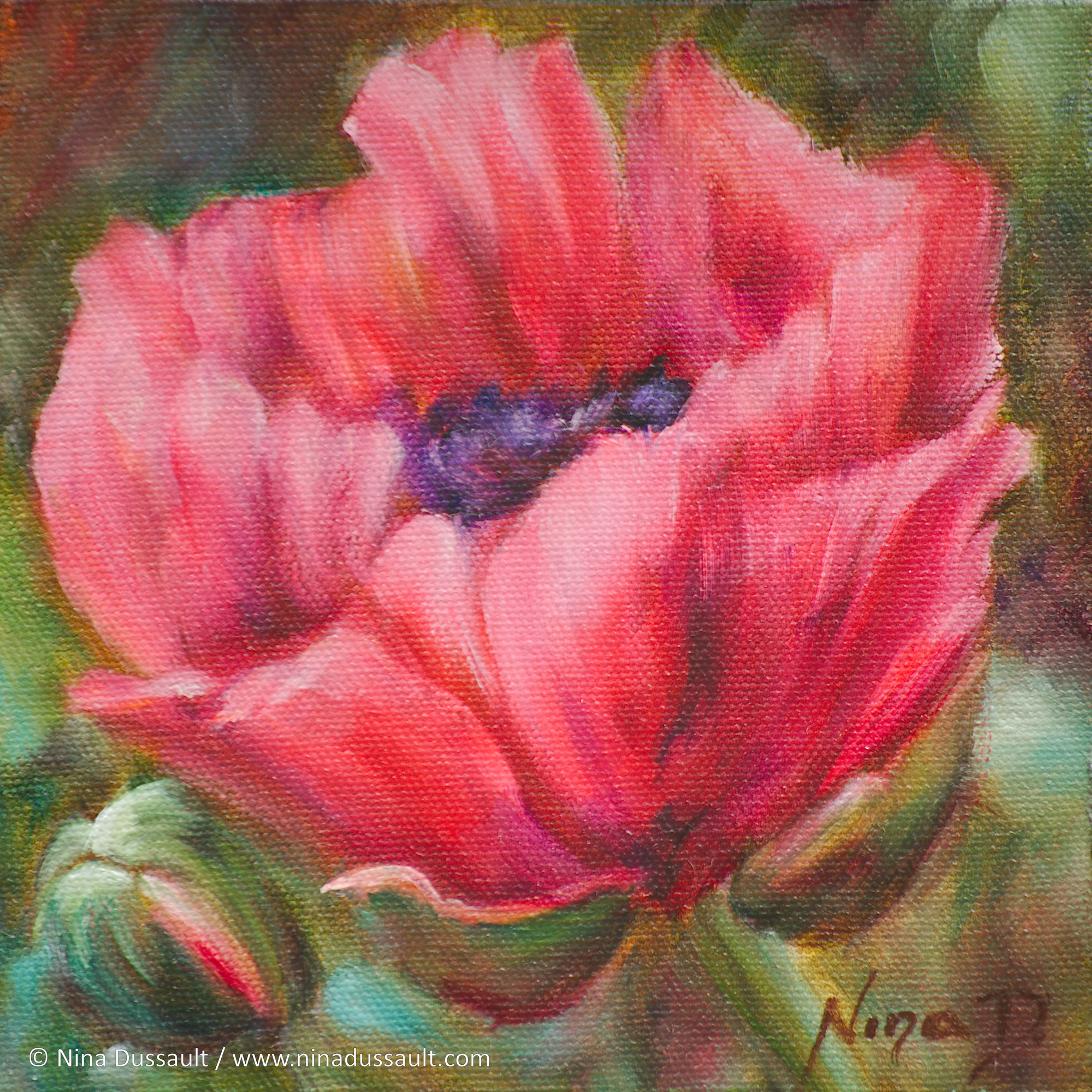 Petit espiègle - 6 po x 6 po