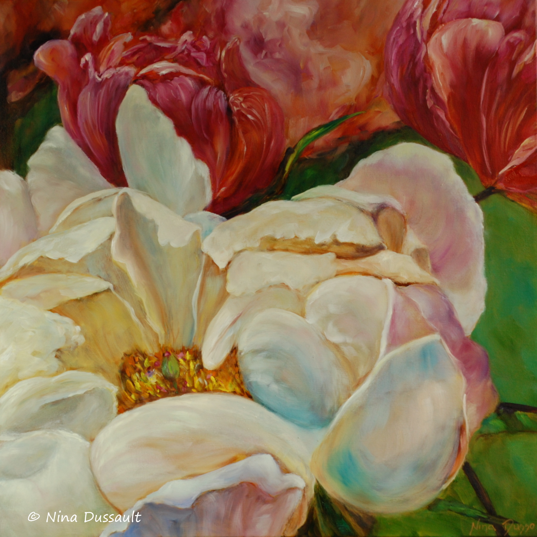 Pivoine enchanteresse