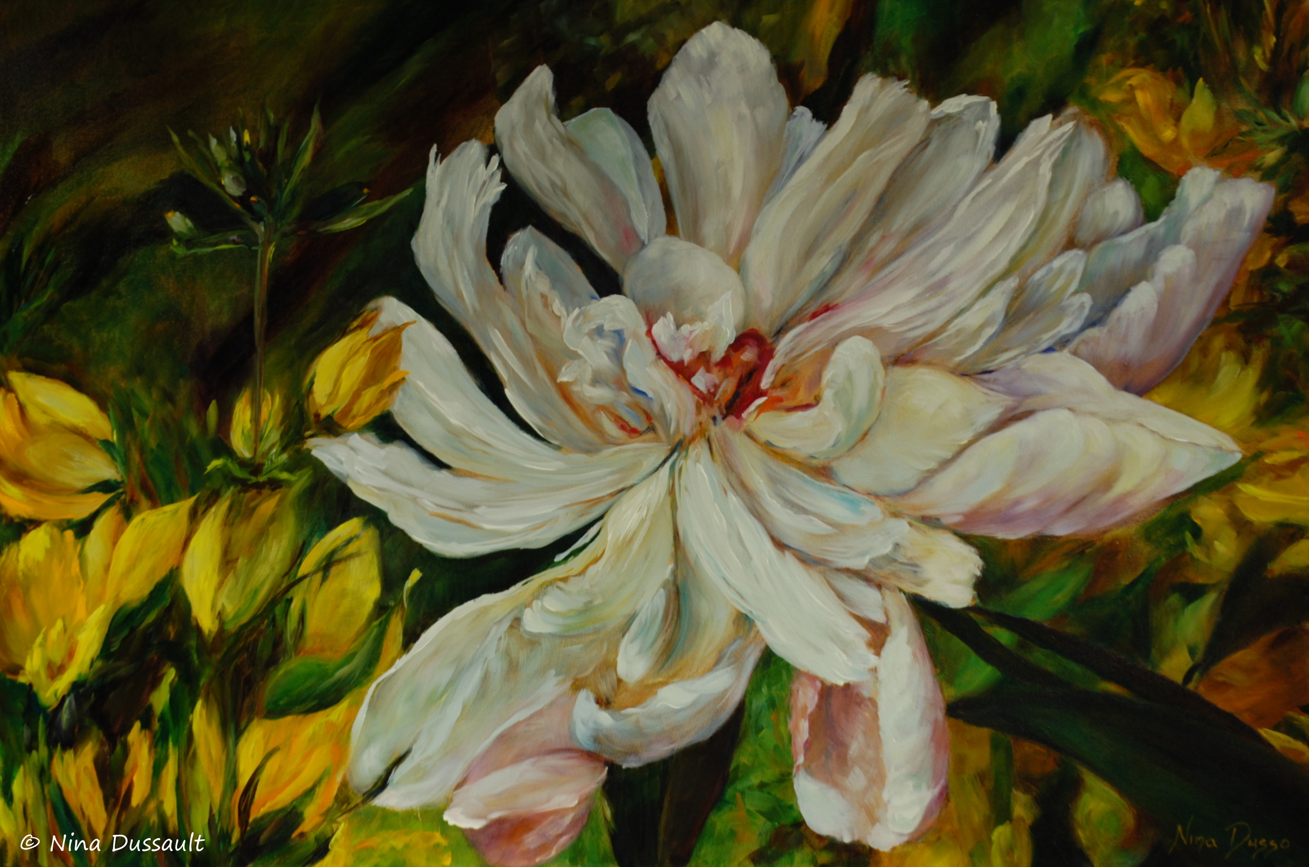 La comtesse du jardin