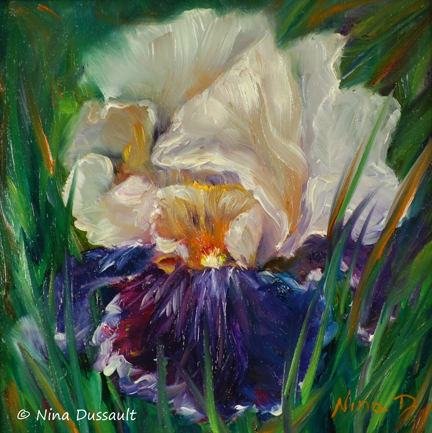 Iris-istible