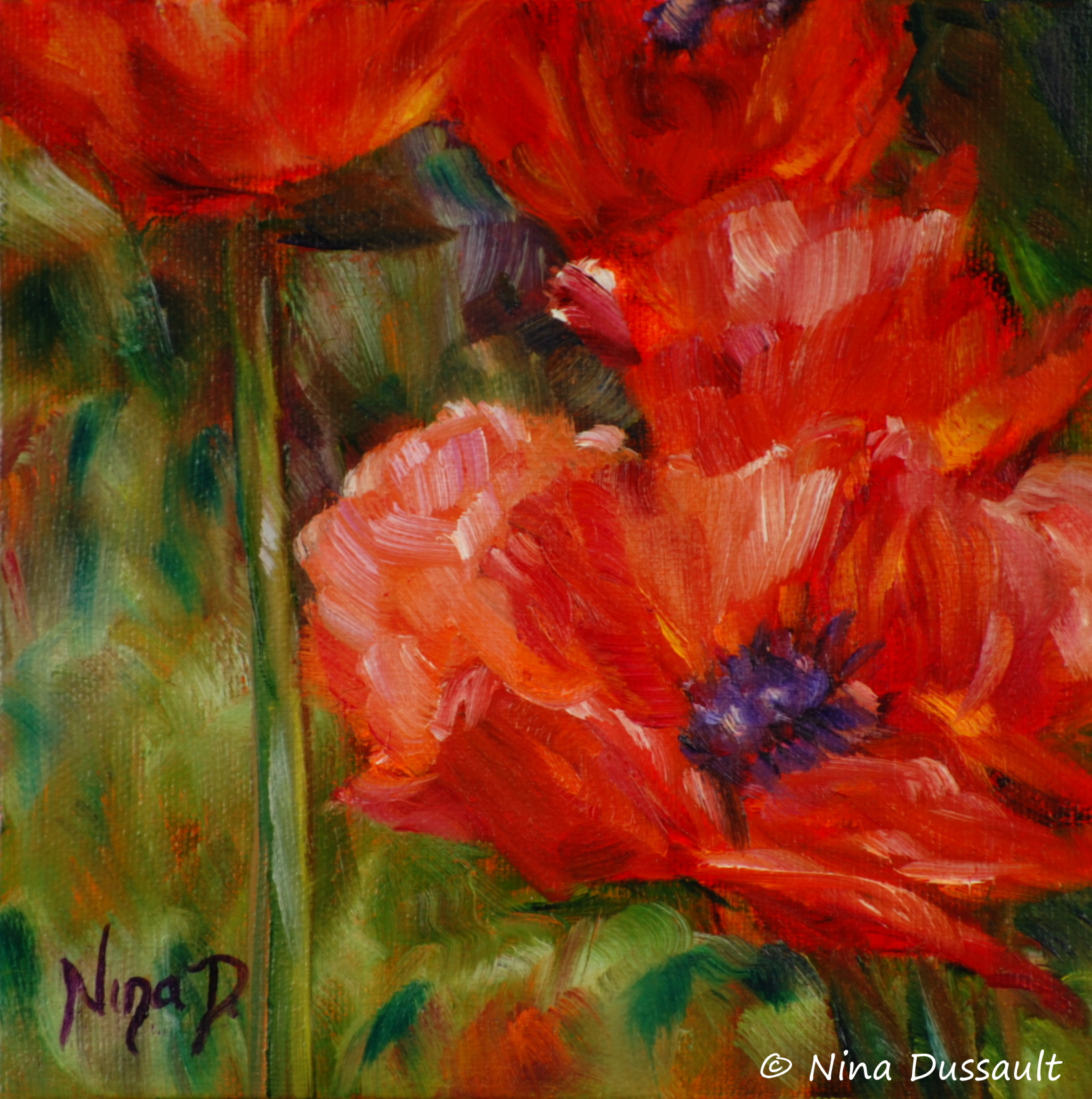 Rouge passion