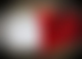 BLOG EDUCATIVO: BAUTIZANDO A NUESTRA MASCOTA