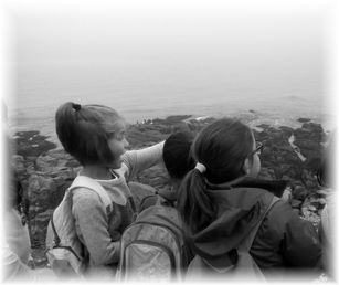 BLOG EDUCATIVO: ABRIENDO LAS PUERTAS DEL AULA
(3ª parte: Nuestras clases exteriores - sección segund