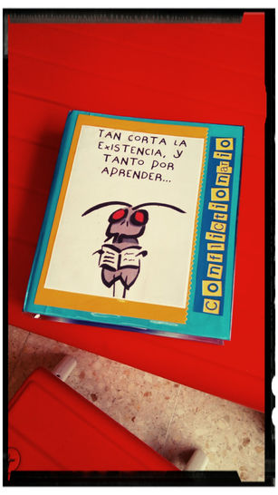 BLOG EDUCATIVO: NUESTRA AULA
(PRIMER AMBIENTE, UN DESPACHO DE PAZ Y JUSTICIA)