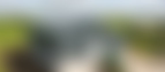 An aerial image of a grain store that is protected by an integrated pest management plan