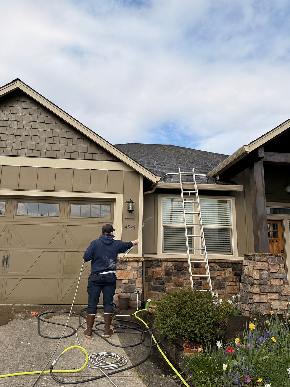 Roof Moss Prevention Tips That Actually Last in Vancouver WA