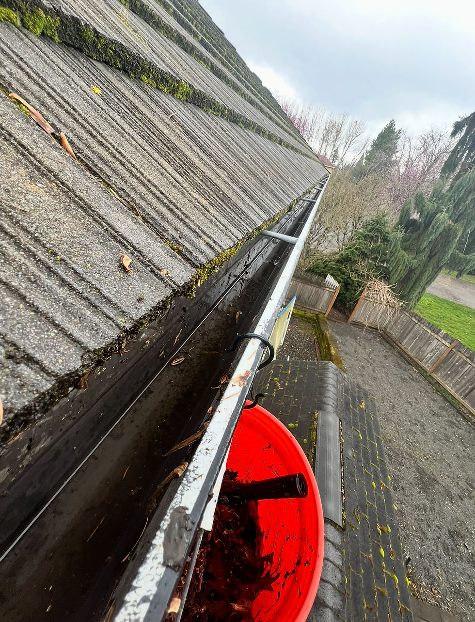 Types of roofs most susceptible to moss growth Pacific Northwest – ProSoaks