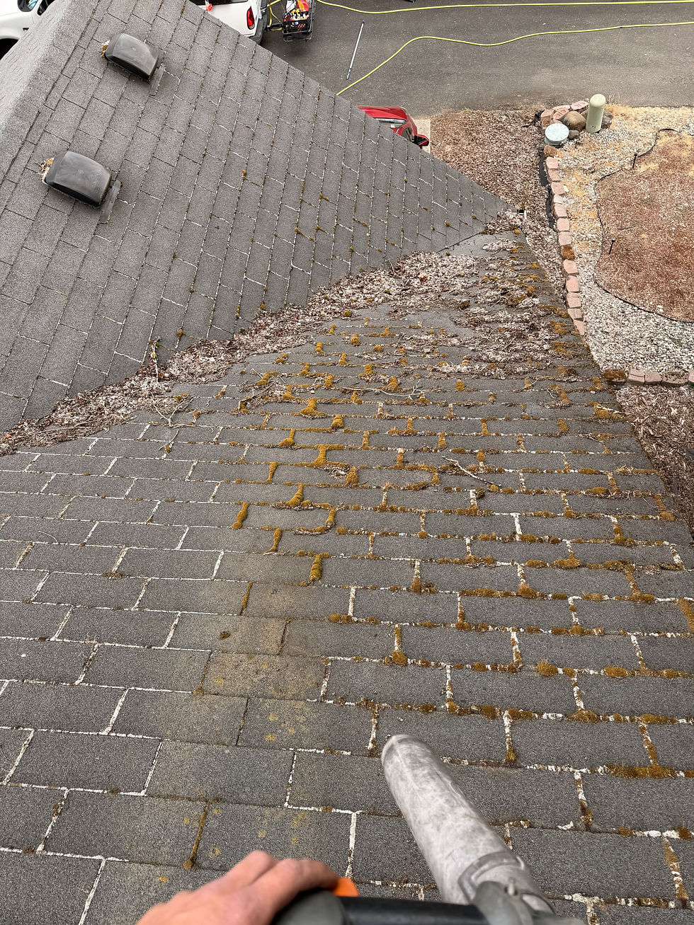 Gutter Cleaning Near Me Vancouver WA – Seasonal Timing Guide