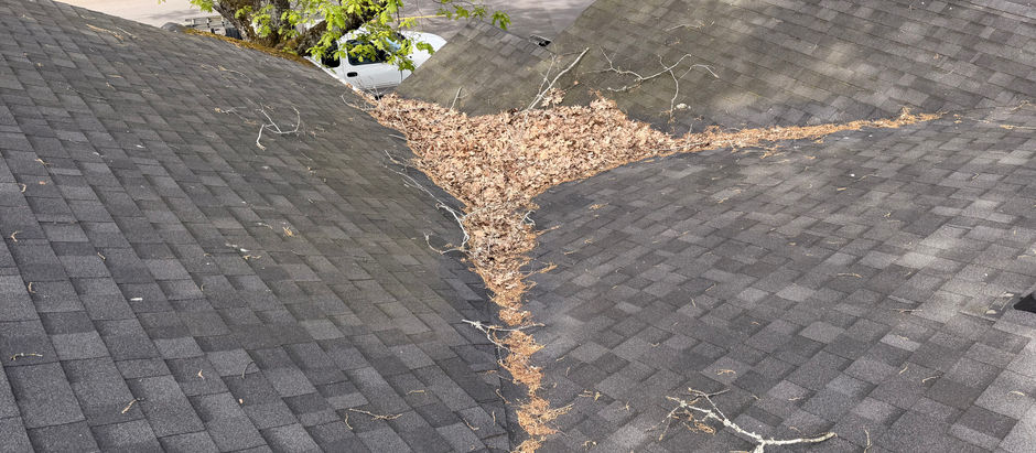 How Tree Shade Affects Roof Moss Growth in Vancouver WA