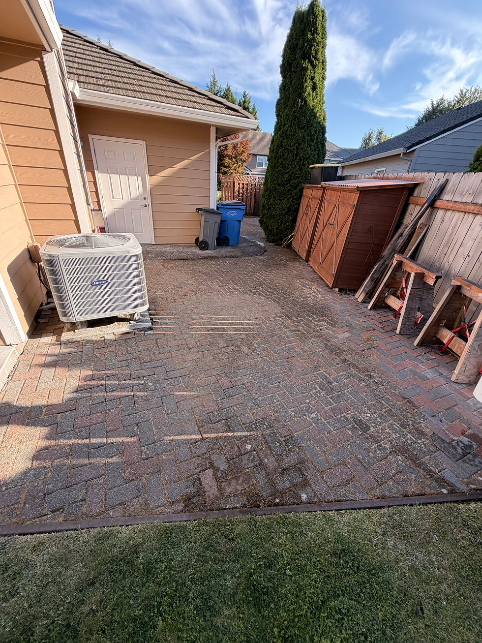 Concrete and paver driveway cleaning before after Clark County – ProSoaks