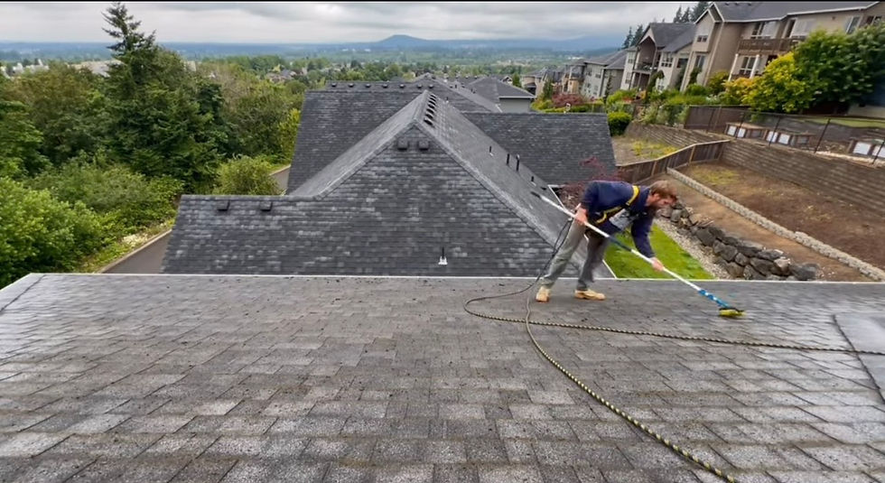 Soft roof washing near me Vancouver WA before and after – ProSoaks