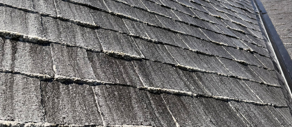 Black Streaks on Your Roof? It’s Algae, Not Dirt – Here’s How Soft Washing Removes It Safely