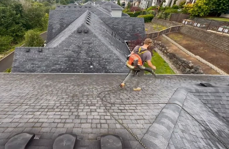 ProSoaks non-pressure roof cleaning protecting shingles Vancouver WA