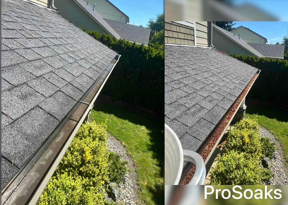 NW moss removal Vancouver WA thick moss – ProSoaks