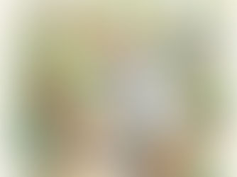 Questions to Ask Before... Starting a 501c3 Non-Profit