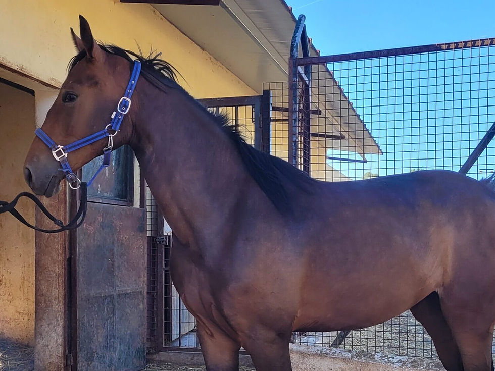 20230715_185602-scaled-e1702936422456_edited