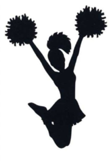 How cheerleaders feel: A personal perspective