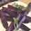 Thumbnail: Potato, Purple Peruvian Seed Potatoes, 1 pound