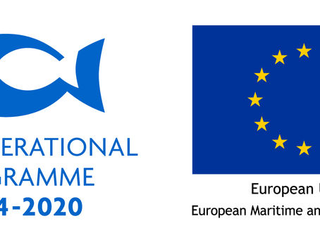 Call for Experts in Maritime and Fisheries Policy