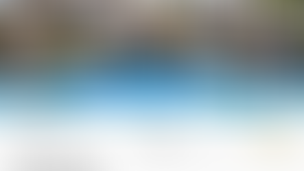 Philip Ammerman appointed Chief Investment Officer of Nina Technologies