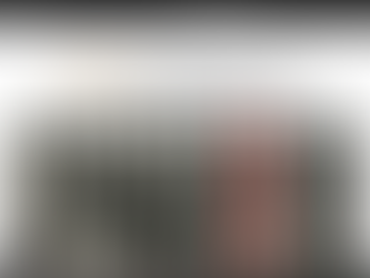 The US Constitutional crisis