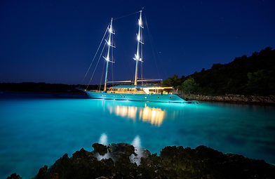 bluefin-led-RFLmid3FLjE-unsplash.jpg
