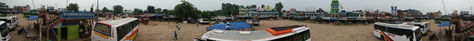 Back to the Terai