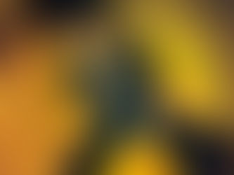 Rally Ray estrena ‘Di Pinto’