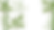 bambouu.png