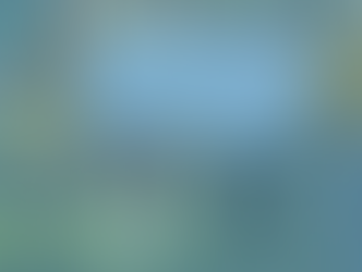 Fresno DRIVE & CVCF Award The Alley Experience 