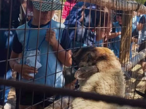 Salida Educativa 1º BásicoGranja Educativa