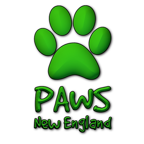 pawsnewengland.png