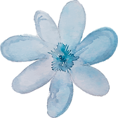 kisspng-blue-watercolor-painting-ink-watercolor-flowers-5aaabb7a5c8c11.5836750915211385543791 (1).png