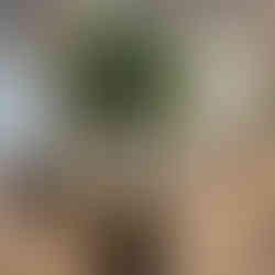 WhatsApp Image 2025-05-01 at 20.41.27 (2).jpeg