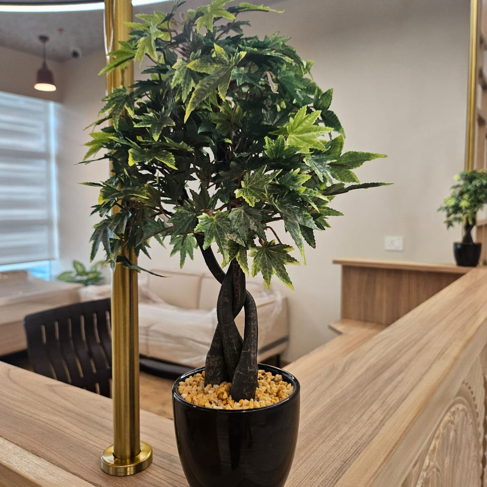 WhatsApp Image 2025-05-01 at 20.41.27 (2).jpeg