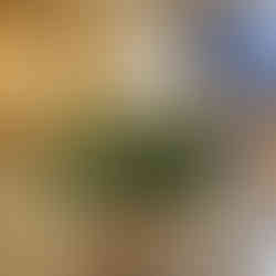 WhatsApp Image 2025-05-01 at 20.41.25 (1).jpeg