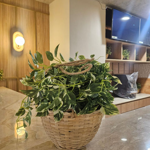 WhatsApp Image 2025-05-01 at 20.41.25 (1).jpeg