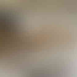 WhatsApp Image 2025-05-01 at 20.41.22 (2).jpeg