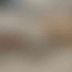 WhatsApp Image 2025-05-01 at 20.41.30.jpeg