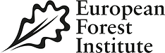 EFI full logo black (1).png