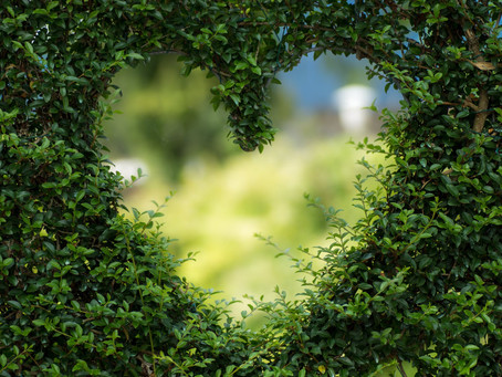 June 10, 2019 @ 7pm -Tree Town Hall