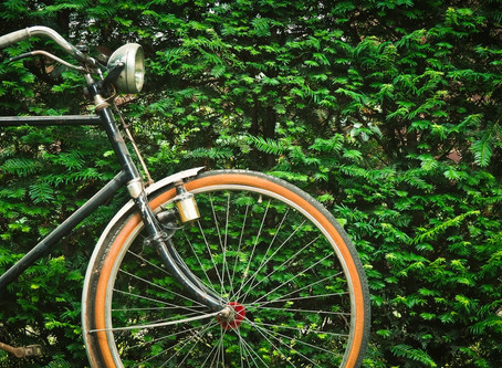 Wolseley to Downtown Walk Bike Project
