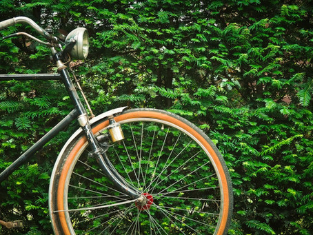 Wolseley to Downtown Walk Bike Project