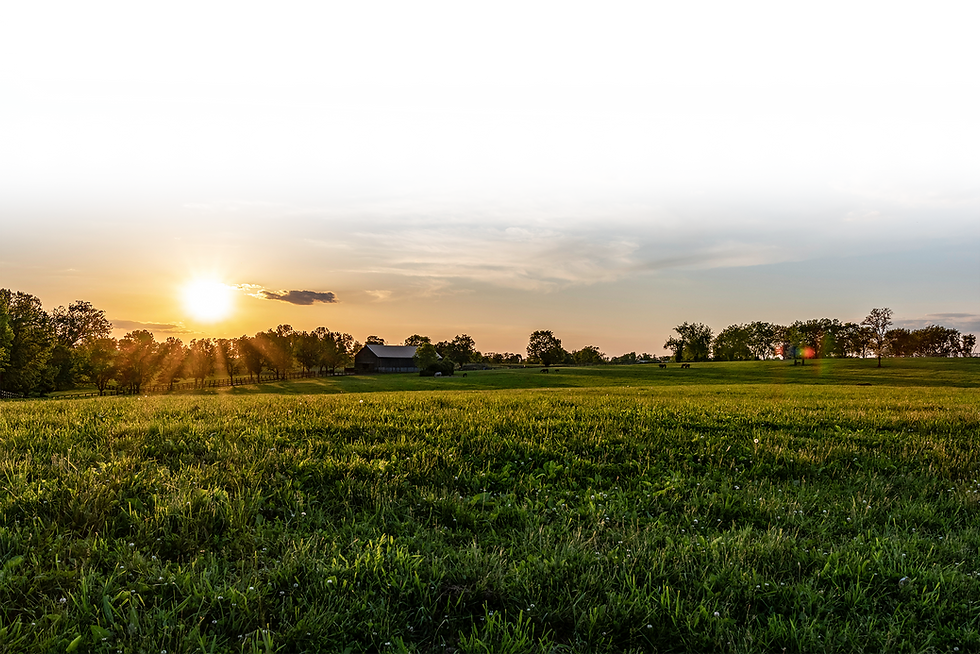 AdobeStock_269495536.png