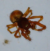 Screenshot 2022-04-20 at 18.21.11.png